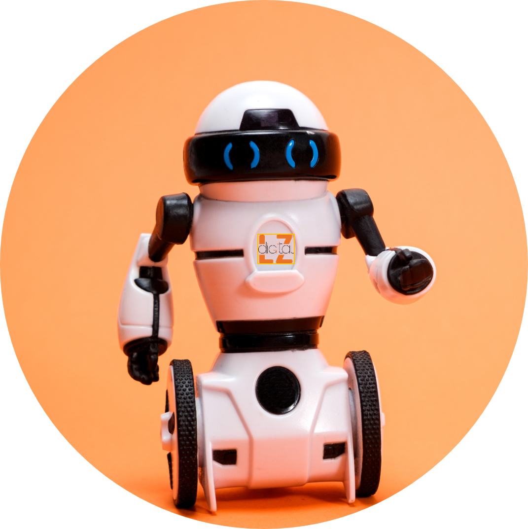 Servidor da Digital LZ